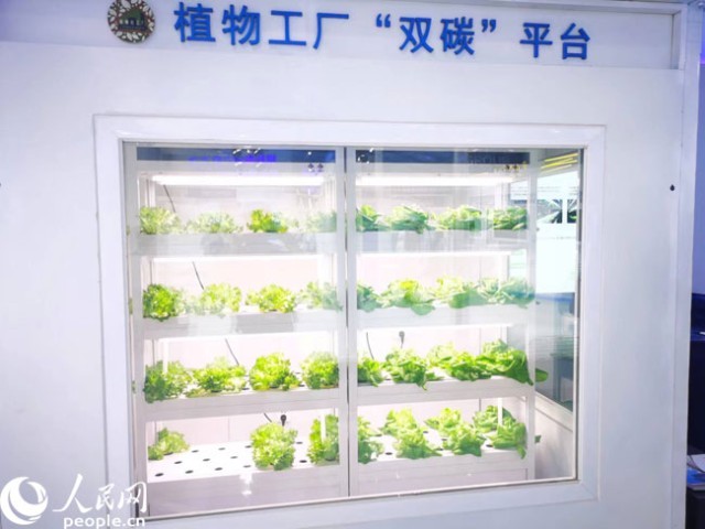 數字內容新紀元 激發源頭創新，科技點亮精彩生活